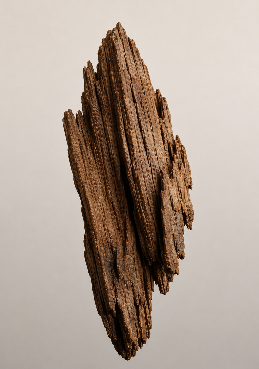 Cédre Doux 2ml Sample